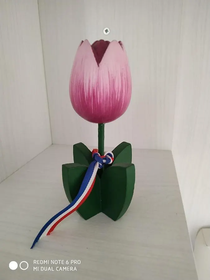 Appartamento PINK Rho-Fiera Milano MIND